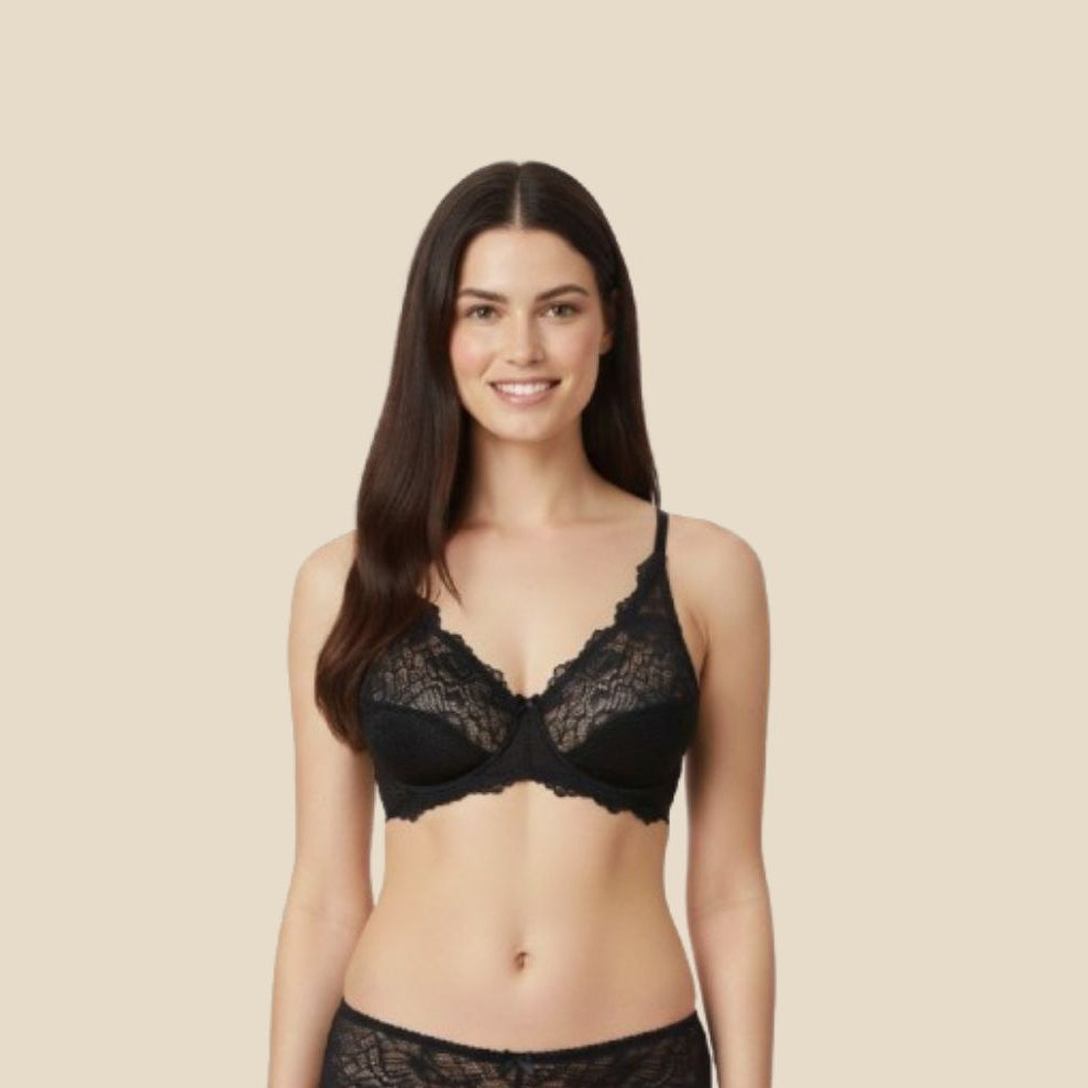 Chantilly SET